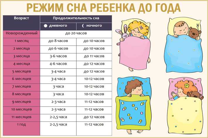 Сколько должен спать ребенок в возрасте от рождения до полугода?
