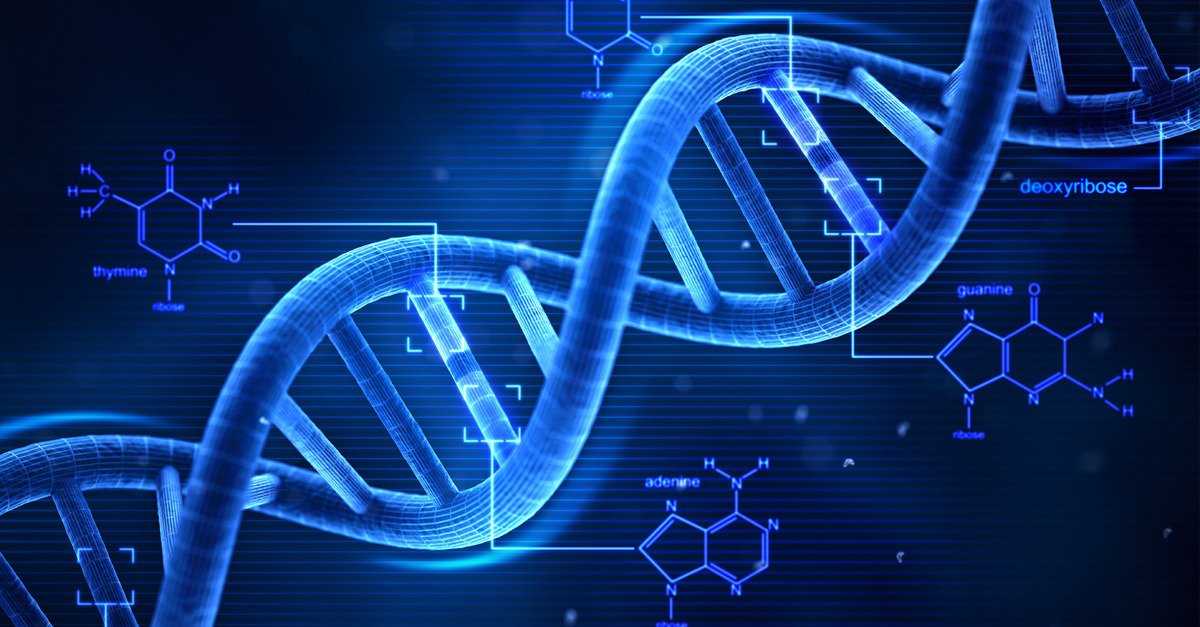 Генетика и тренировки. как генетика влияет на прогресс?