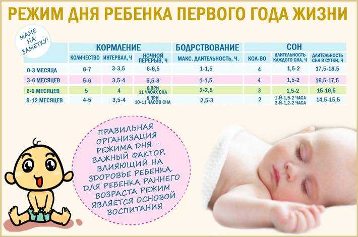 Нормы сна и бодрствования ребенка до года: сколько спит новорожденный | доктор мама