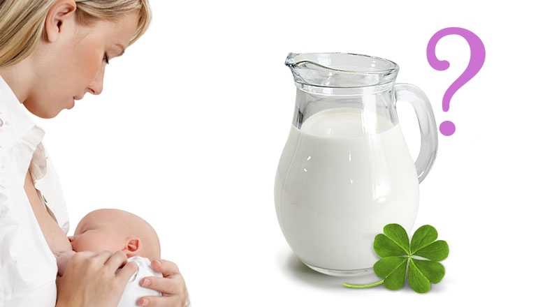 Маточное молочко в помощь молодой маме - болталка для мамочек малышей до двух лет - страна мам