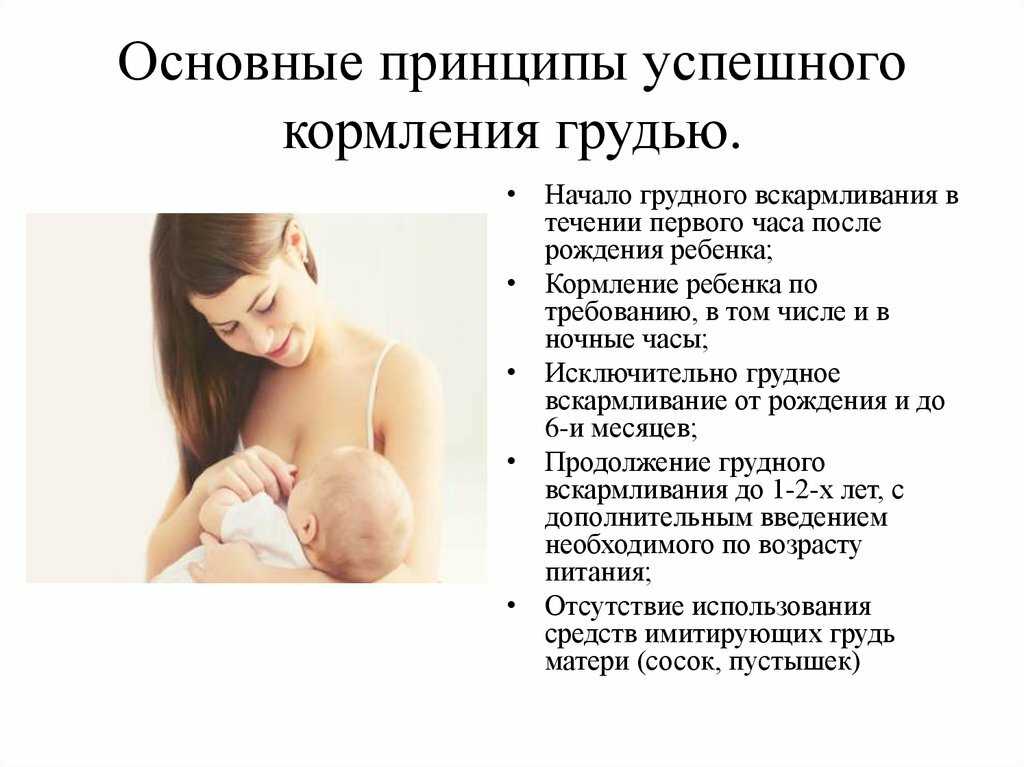 Как правильно кормить малышей грудью: основные правила | уроки для мам