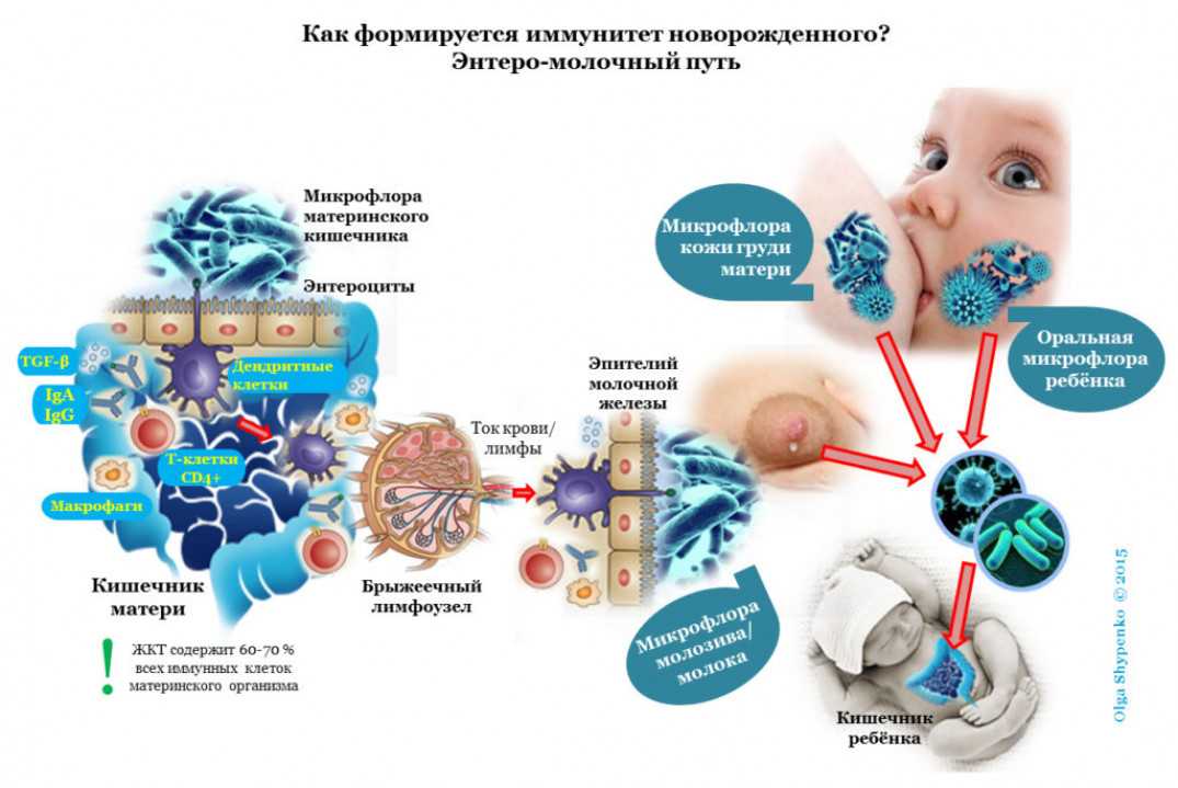 Укрепление детского иммунитета