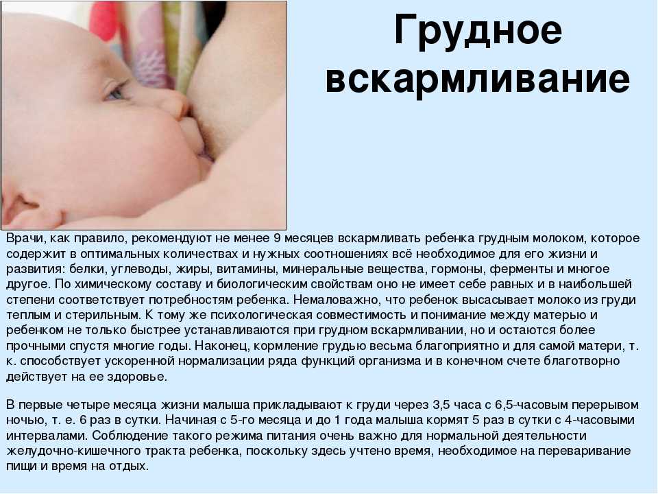 Кормление новорожденного грудью: правила, преимущества, прикладывать, отзывы, ребенка, вскармливание, комаровский, подготовка, курение, алкоголь