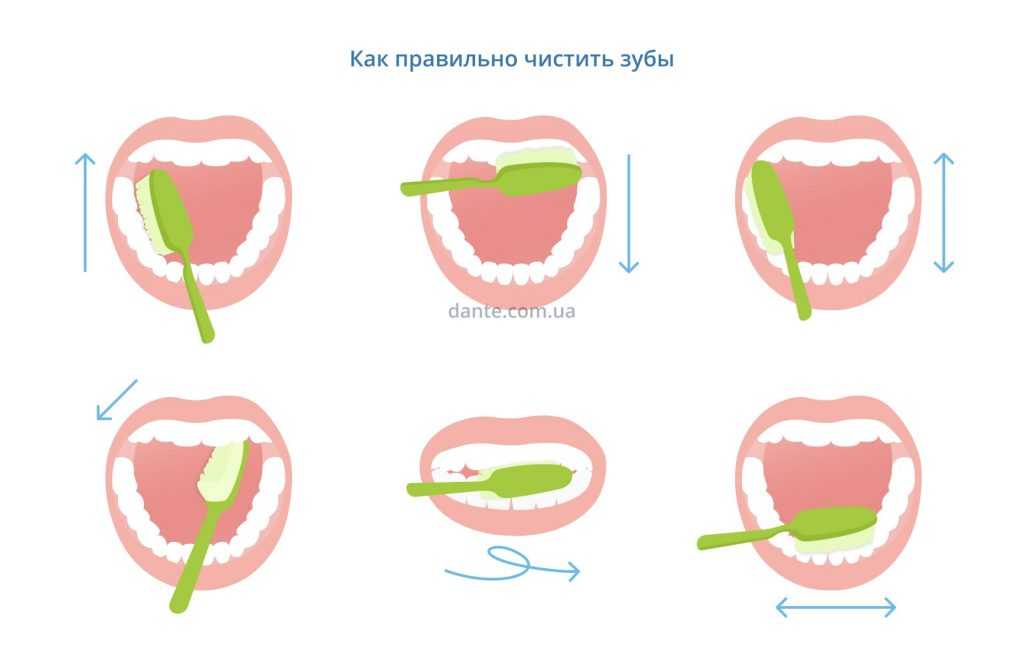 7 правил ухода за зубами в домашних условиях | дентарт