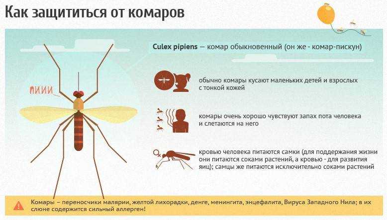 Какие народные средства защитят от комаров