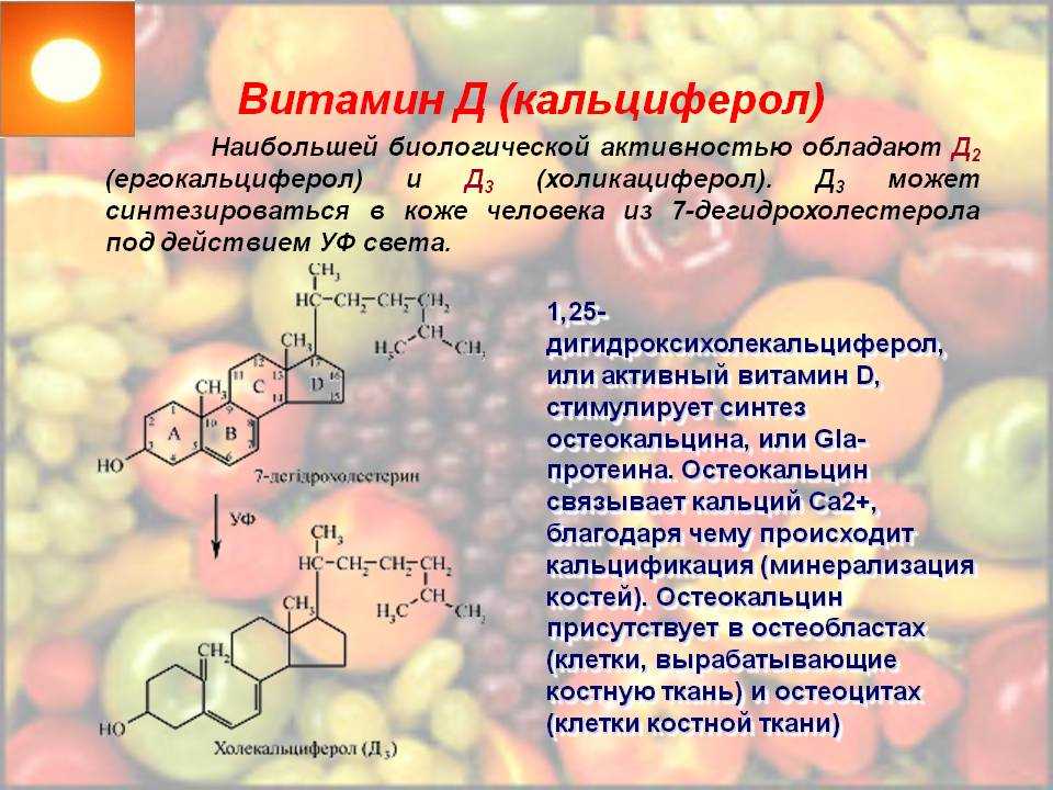 Синтез витаминов в организме