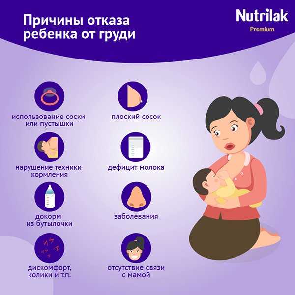 Главные правила кормления грудью