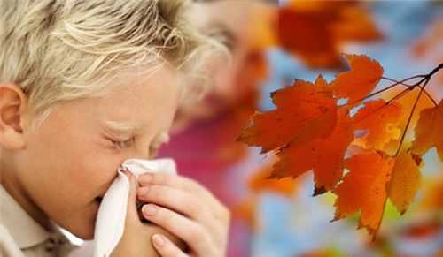 Держите нос в тепле и другие советы, как не заболеть осенью
