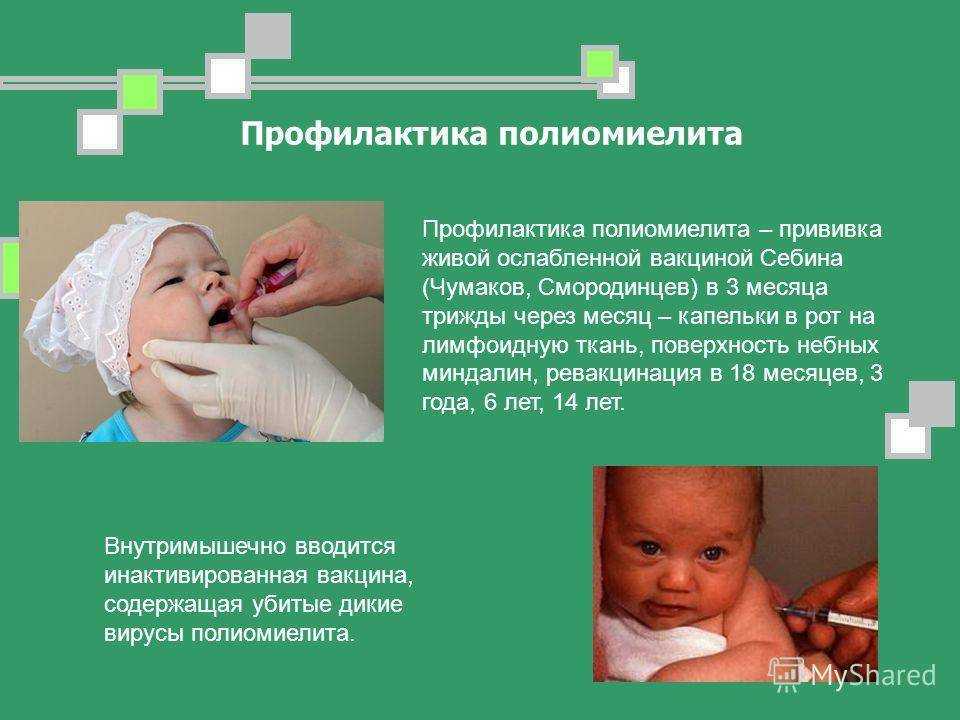 Прививка от полиомиелита в детском саду и непривитый ребенок: можно ли ходить в садик