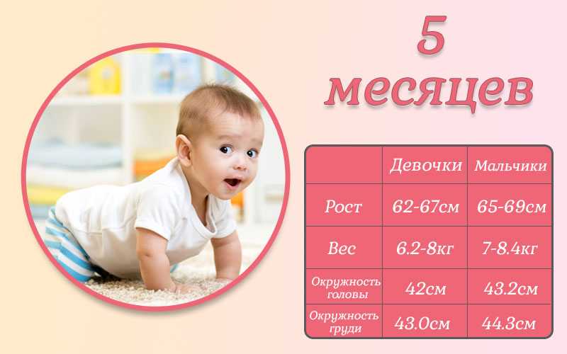 Развитие ребенка в 5 месяцев: что должен уметь малыш, режим дня, питание и уход для мальчиков и девочек, а также нормы роста и веса