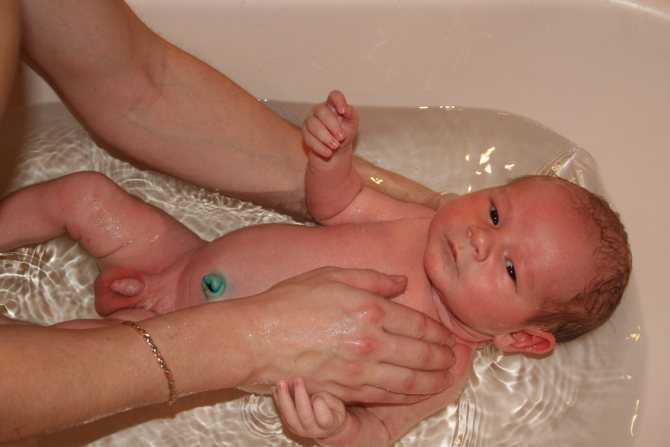 Как первый раз купать новорожденного 👶 ребенка дома: видео "первое купание"