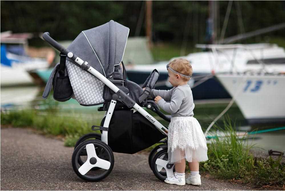 Как выбрать коляску - люльку для новорожденных на зиму - особенности и критерии выбора, рекомендации и сравнение лучших моделей