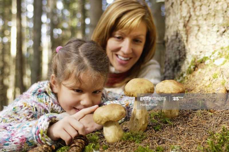 Почему грибы нельзя детям