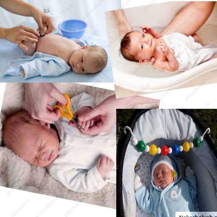 1 месяц 1 неделя развития ребенка | мамоведия - о здоровье и развитии ребенка