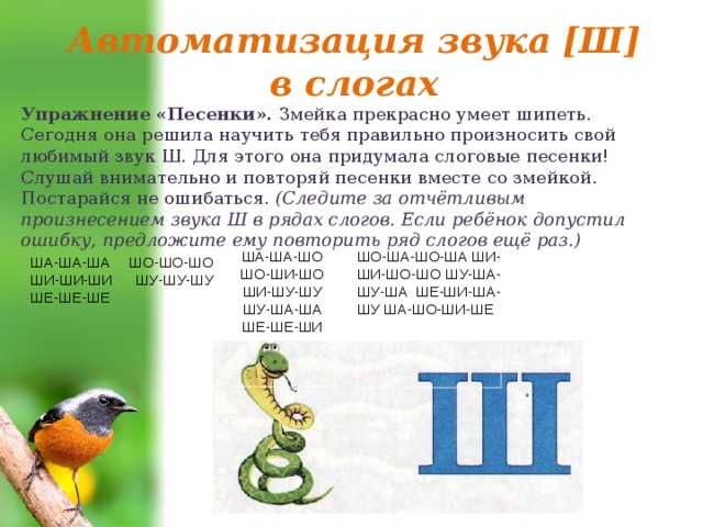 Постановка и автоматизация звука ш в слогах, словах, предложениях, артикуляционная гимнастика, конспекты занятий, логопедиечские тетради
