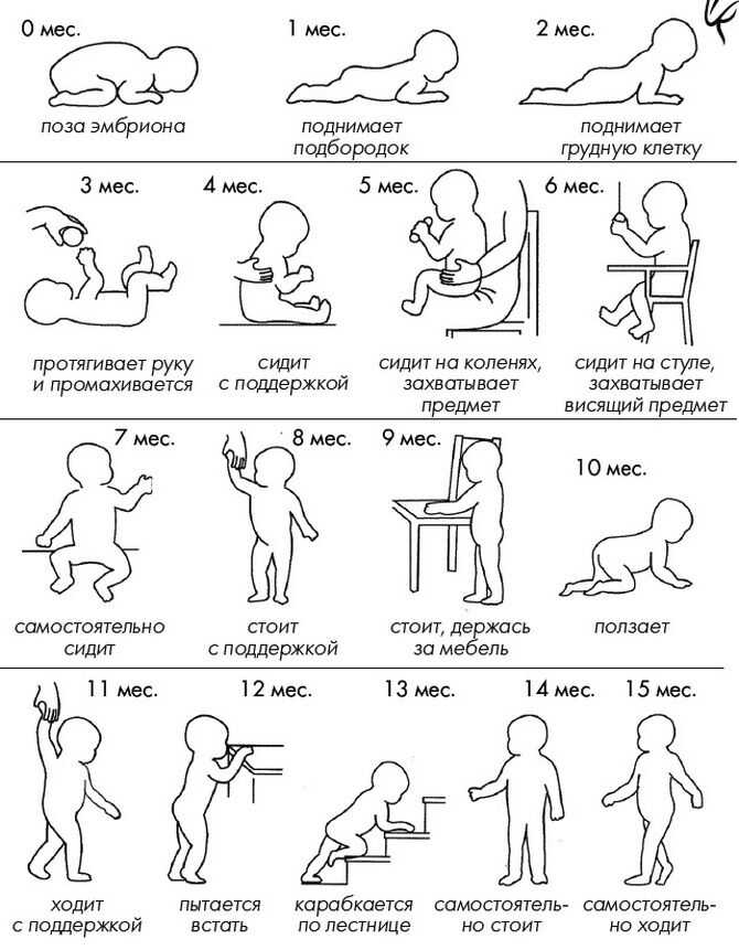 Развитие ребенка в 1 год и 7 месяцев: навыки,  сравнение девочек и мальчиков