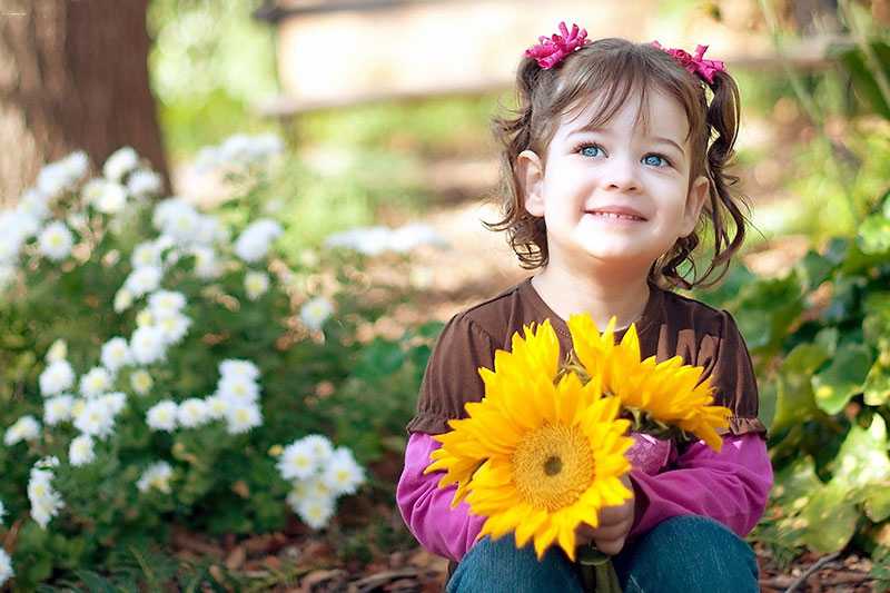Лепим с детьми пластилиновые цветы: пошаговая инструкция с фото