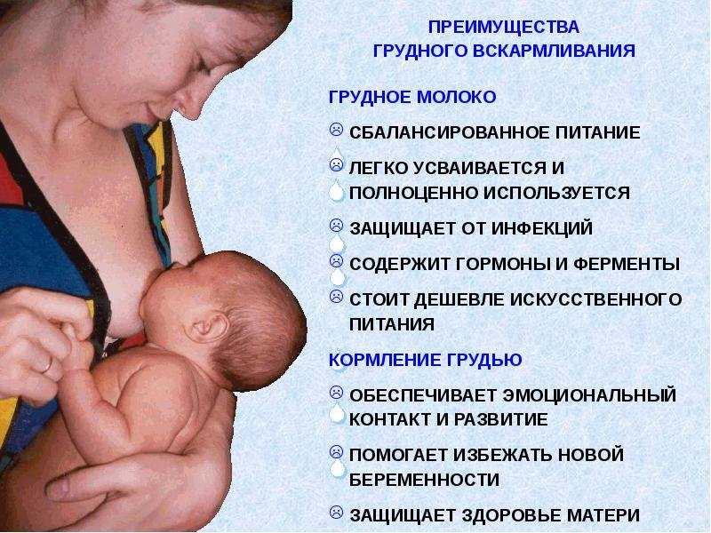 Когда и как отлучать ребенка от груди • центр гинекологии в санкт-петербурге
