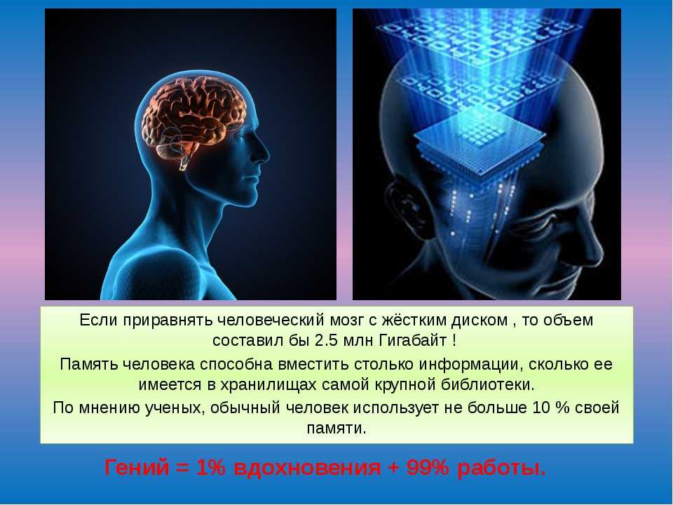 Есть ли мозг. Мозг и память человека. Емкость памяти человеческого мозга. На что способен человеческий мозг. Информация в памяти человека.