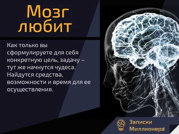 Нейробиологи подобрались к разгадке тайны сна - hi-news.ru