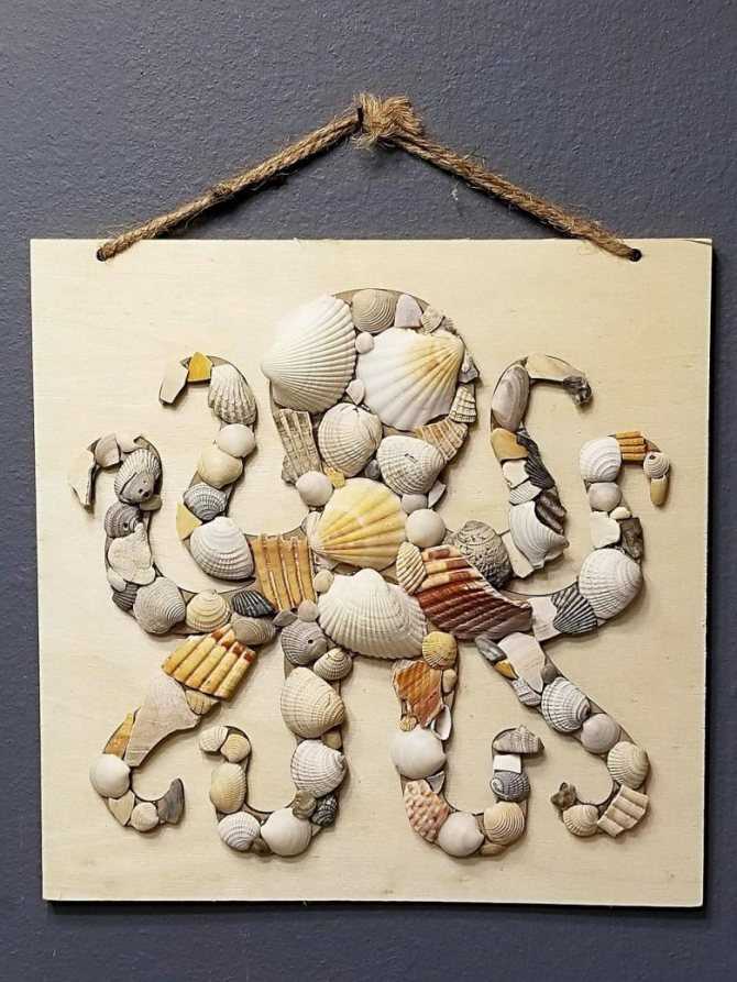 Поделки из ракушек своими руками: оригинальные украшения из ракушек и камней. пошаговая инструкция с фото для начинающих