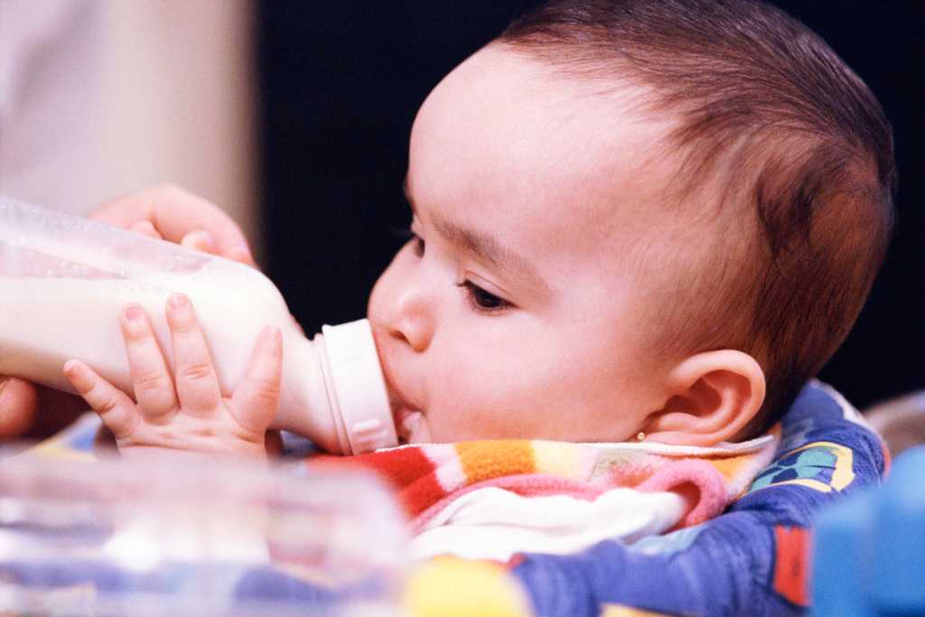 Нормы питания и рацион новорожденного