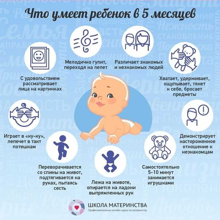 Развитие ребенка в 5 месяцев: что должен уметь делать, как развивать мальчика, девочку в этот период