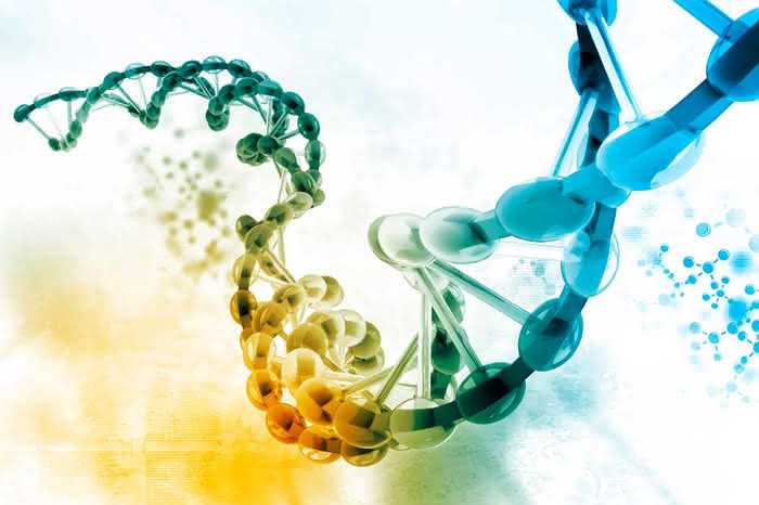 Влияет ли генетика на прогресс?