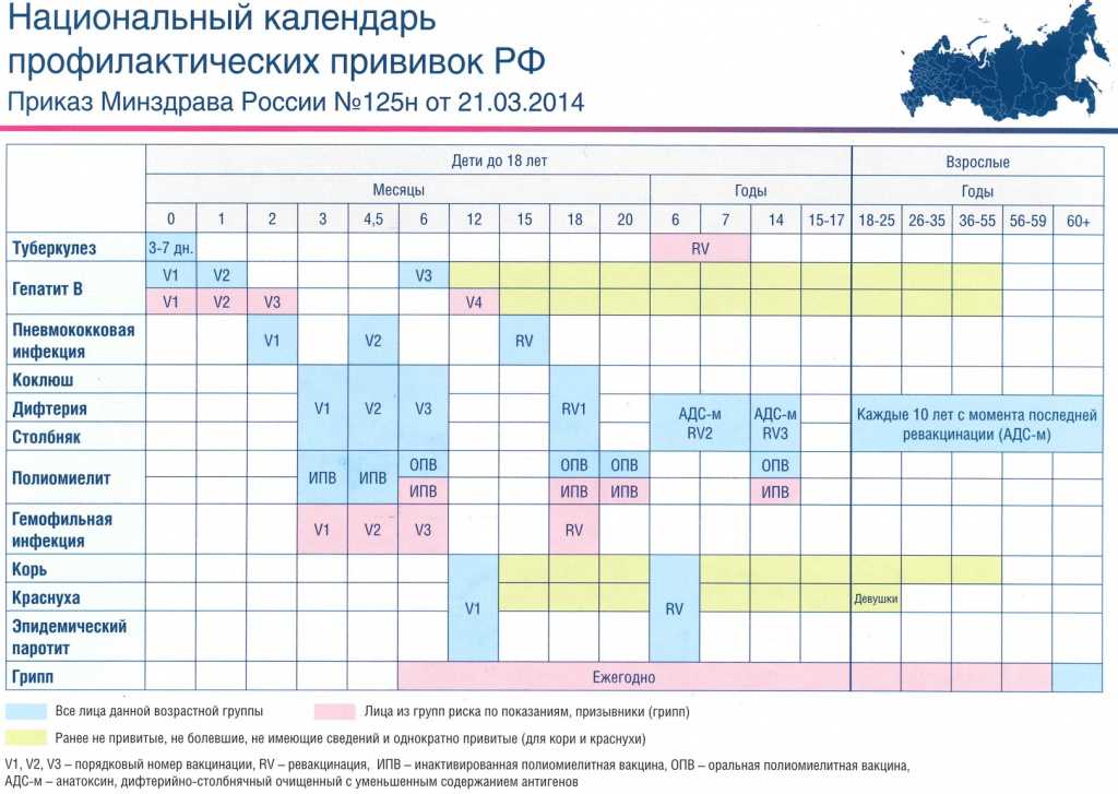 Вакцинация национальный календарь прививок презентация