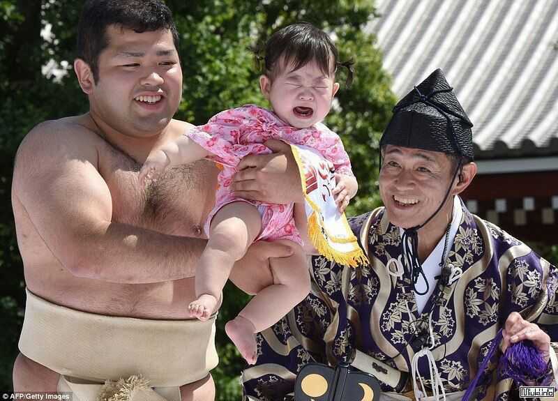 «наки сумо»: чем интересен фестиваль плачущих младенцев в японии? | культура | школажизни.ру
