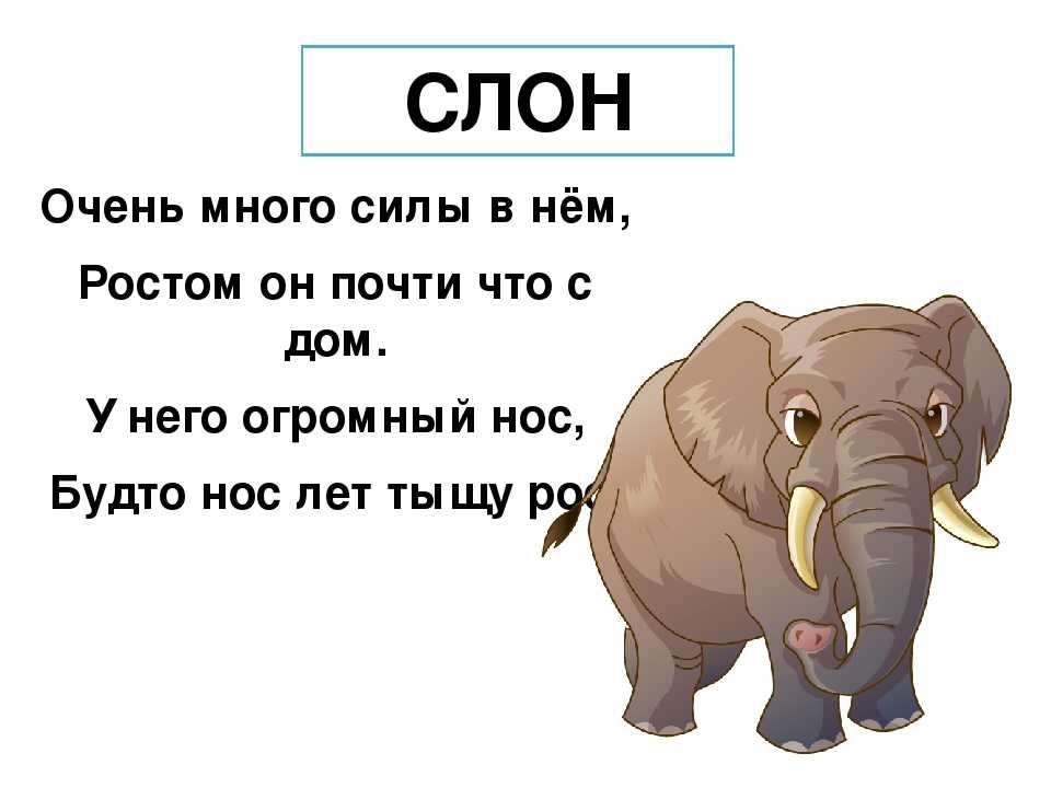 Значение слона по фэншуй: куда правильно ставить фигурку дома? символом чего является слон с поднятым или опущенным хоботом?