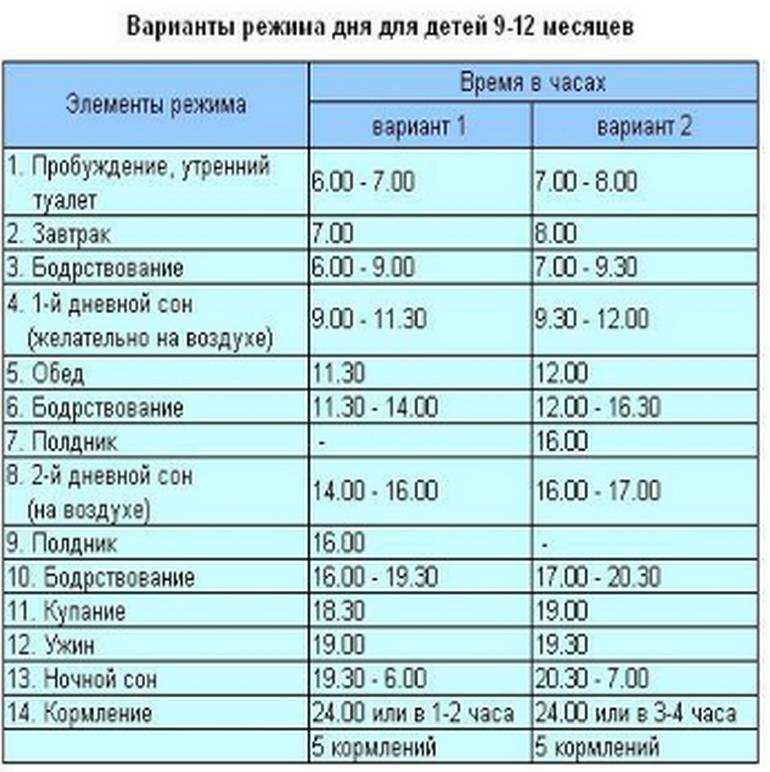Распорядок дня грудничка по месяцам 👶: режим кормления, сна ребенка до года (таблица)