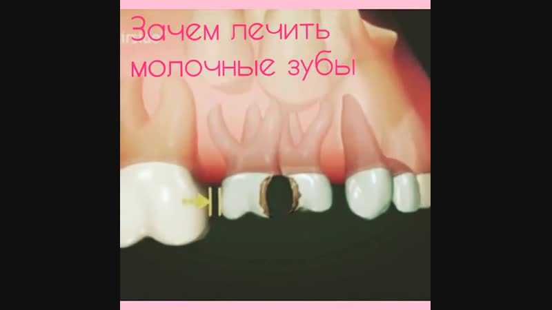 Жизненный цикл наших зубов