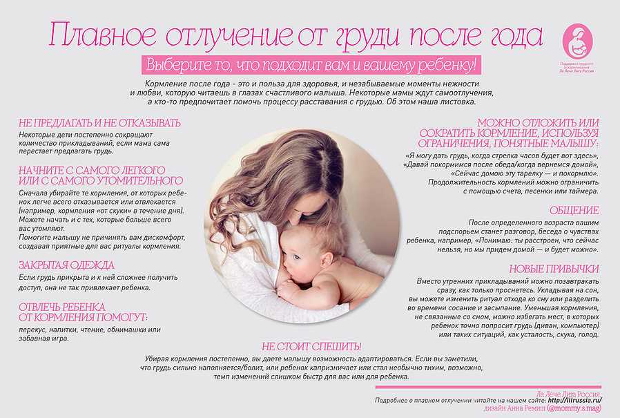 Отлучение от груди ребенка: мягкое отлучение малыша от груди | nutrilak