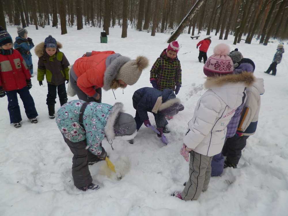 Морозное настроение: зимние прогулки с детьми