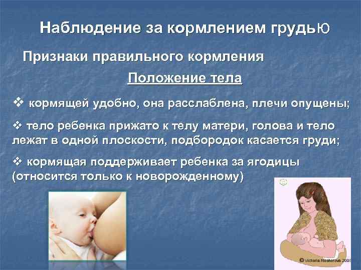 Правильное грудное вскармливание — свод правил для молодой мамы