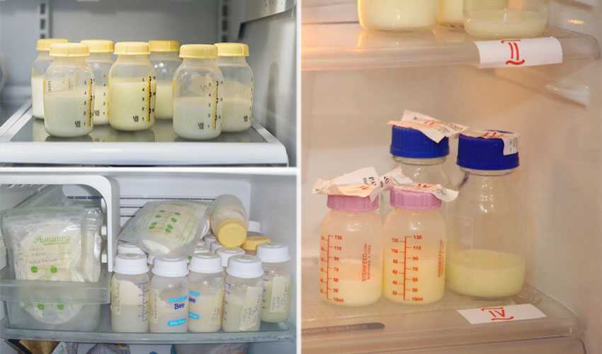 Как и сколько хранить сцеженное грудное молоко