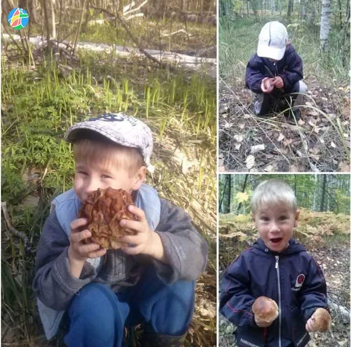 Почему детям нельзя грибы, можно ли детям грибы в принципе
