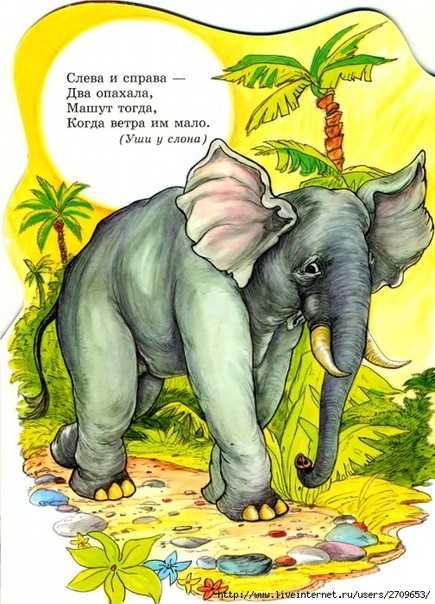 Загадки про слона для детей