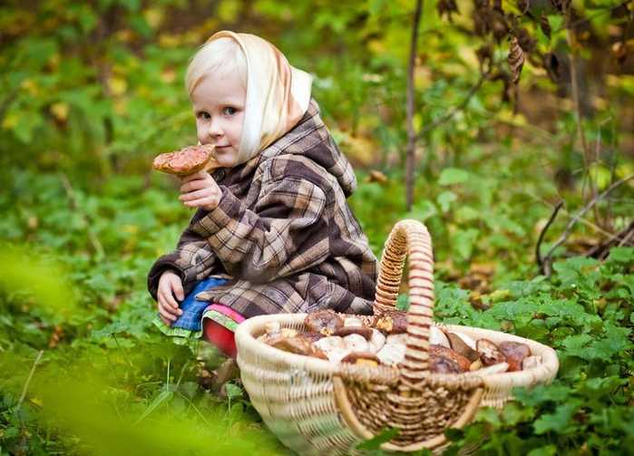 Почему детям нельзя грибы, можно ли детям грибы в принципе