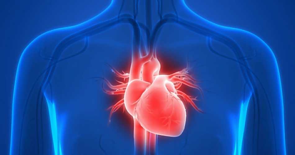 Сиднофарм: эффективные препараты при ишемической болезни сердца