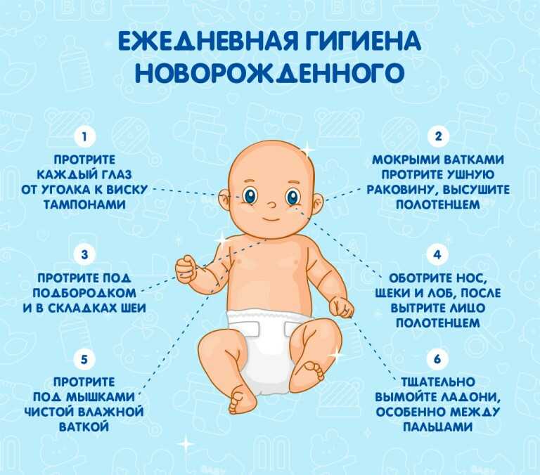 Ребенку 2 недели: как протекает развитие младенца в первые дни жизни