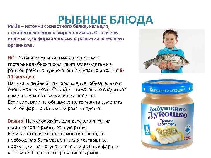 Рыбное меню для ребенка: когда вводить рыбу в рацион и 5 полезных рецептов