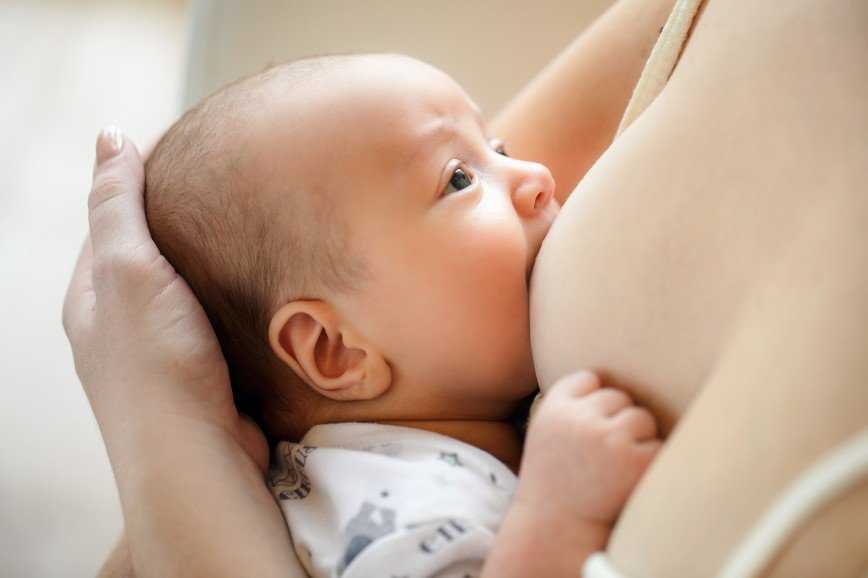 Смешанное вскармливание новорожденных: как правильно организовать