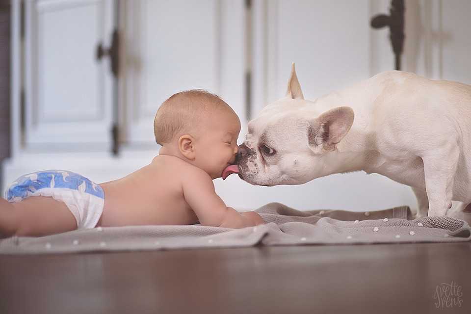 Ребенок и домашние животные: простые правила