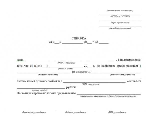 Как заказать и получить справку о несудимости онлайн через госуслуги | provizu.ru