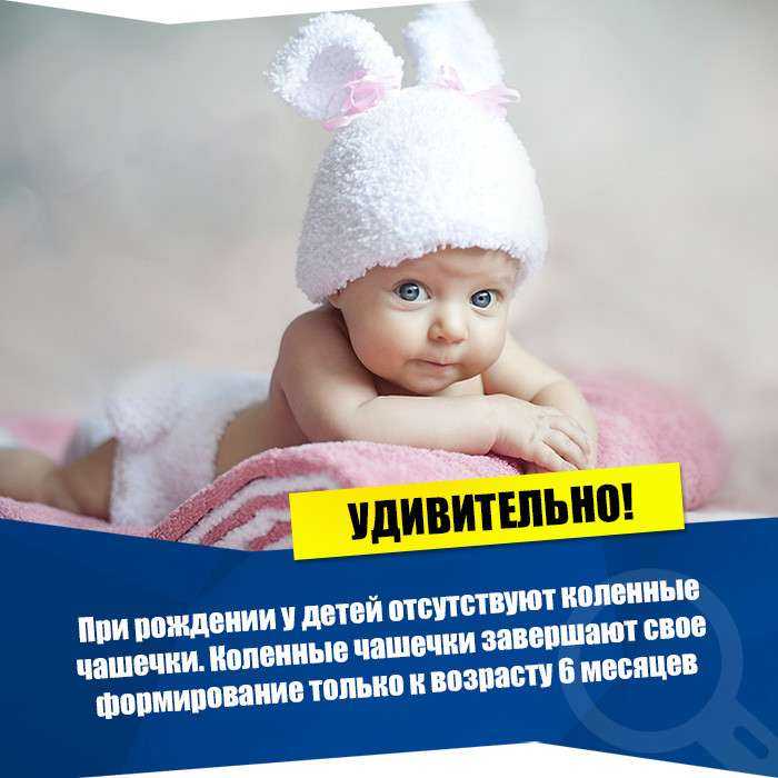 40 интересных и забавных фактов для маленьких детей • всезнаешь.ру