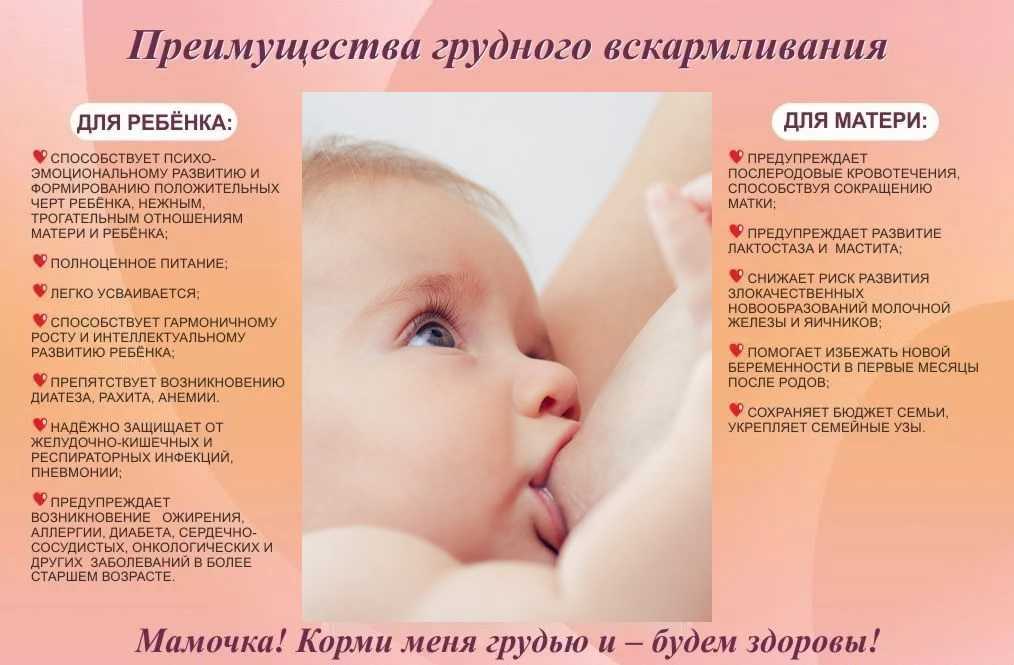 Кормление новорожденного грудью, преимущества, советы и отзывы