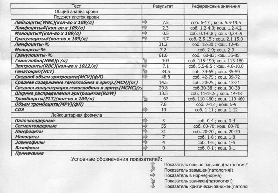 Анализ крови эдта расшифровка у взрослых норма в таблице - TouristMaps.ru