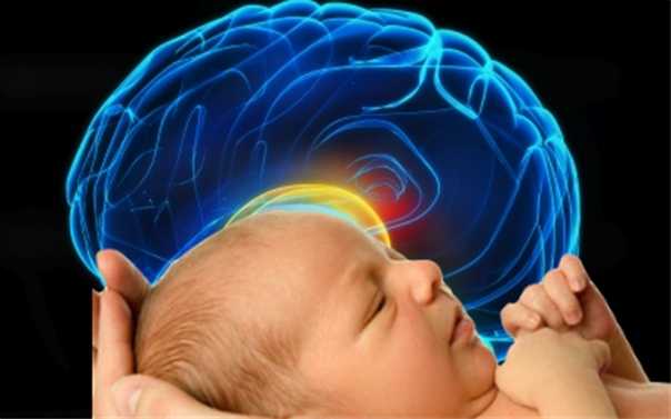 Созревание нервной системы у ребенка и развитие